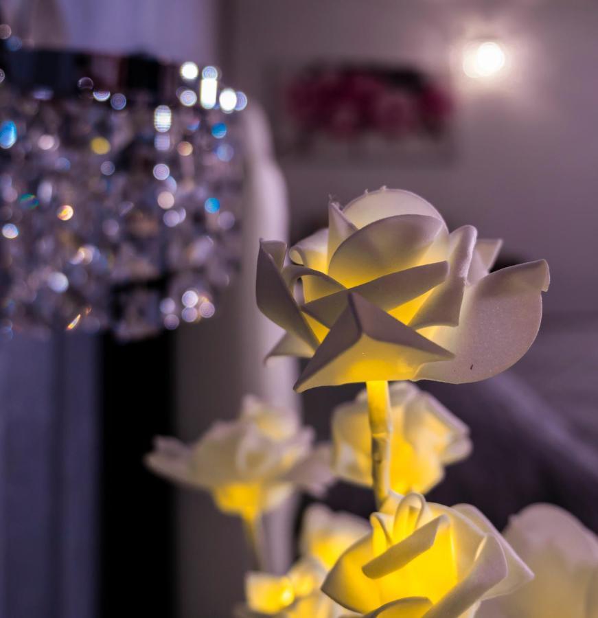 Le Rose Panzió Nettuno Kültér fotó