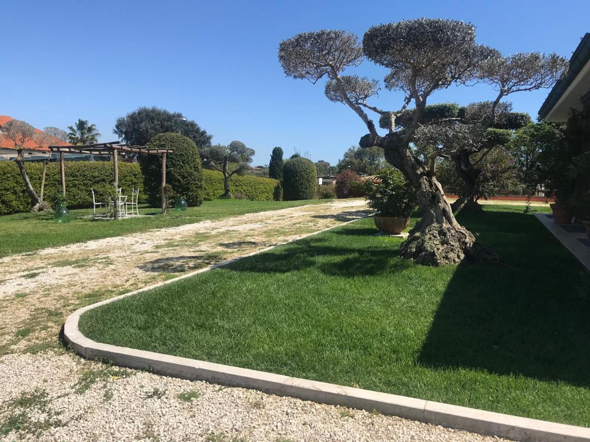 Le Rose Panzió Nettuno Kültér fotó