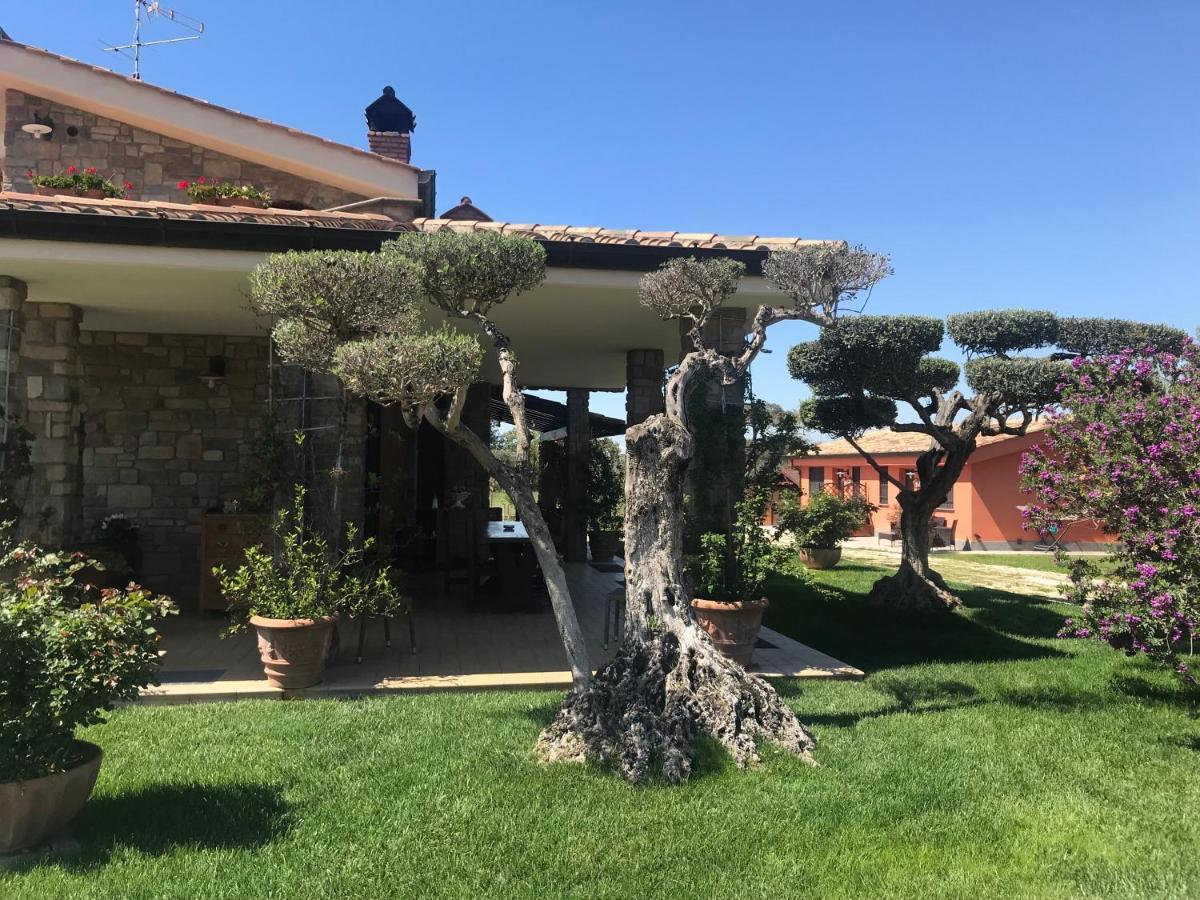 Le Rose Panzió Nettuno Kültér fotó